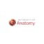 4D Anatomy Interactive