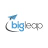 Logo Big Leap