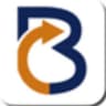 Logo Biz System