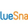 Logo BlueSnap