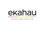 Logo Ekahau Pro