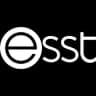 Logo ESST Gestão
