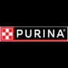 Logo Flag