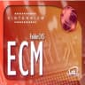 Logo Folder245ECM