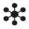 Logo LSNetX