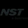 Logo NST E-business