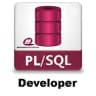Logo PL SQL Developer
