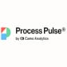 Logo Process Pulse