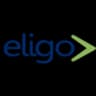 Logo Sistema Eligo