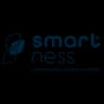 Logo Smartness