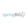 Logo SpringBIG