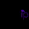 Logo Vision IP