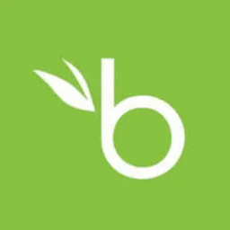 Logo Bamboohr