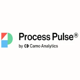 Logo Process Pulse