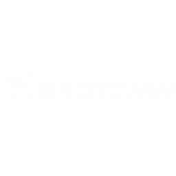 Logo SYSTEMW