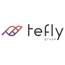 Logo tefly.com.br
